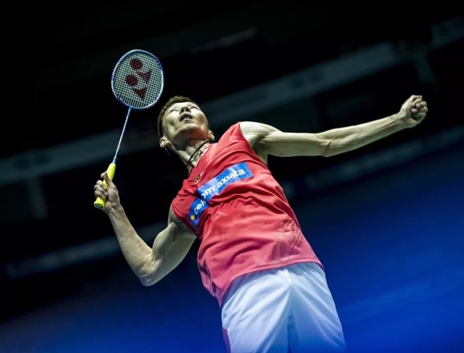 我们不仅可 我们不仅可