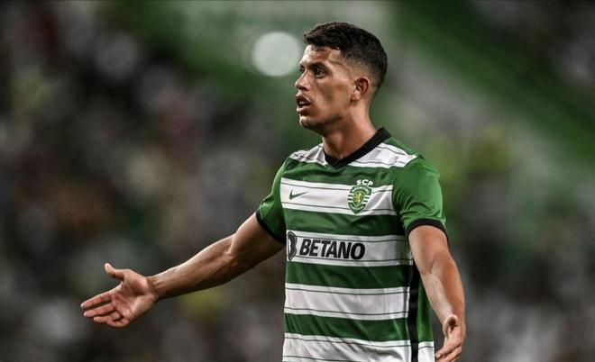 地域荣耀 地域荣耀