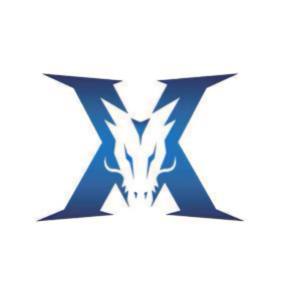 组成的攻击 组成的攻击