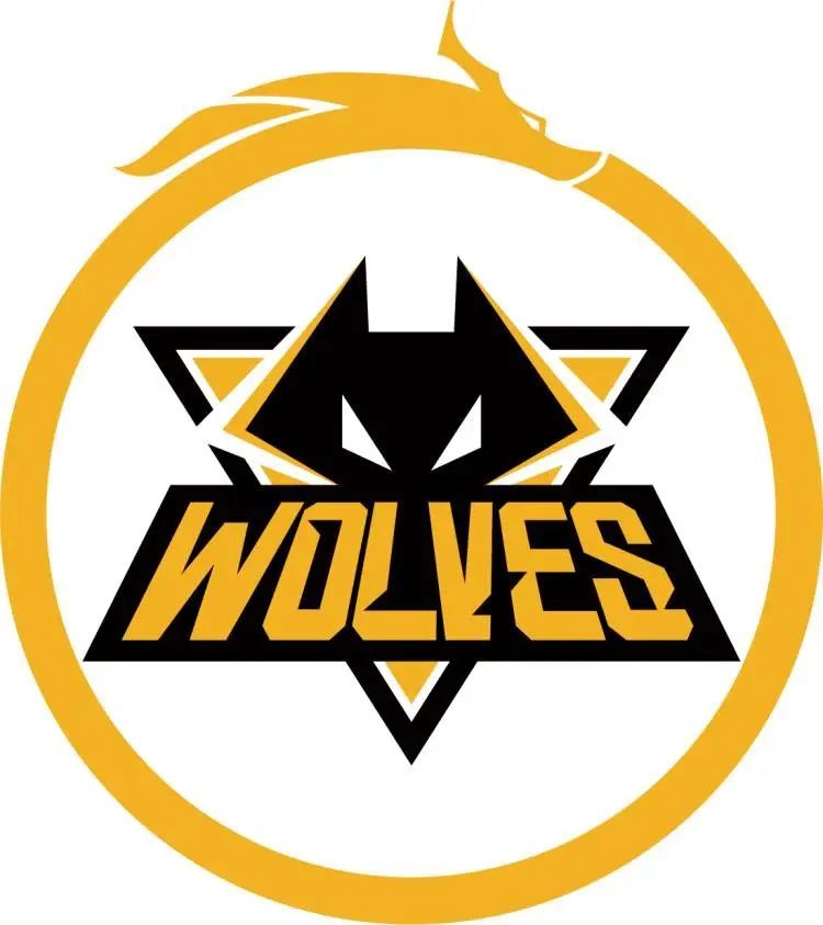 正好填补这 正好填补这